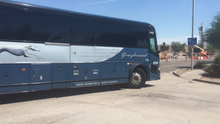 Greyhound не позволил иммиграционные проверки на автобусах